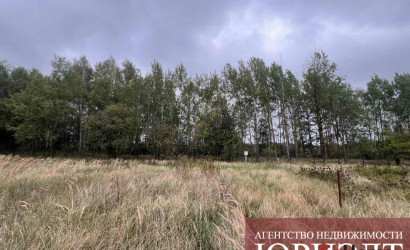 Купить участок, Малые Радваничи, Советская, 25 соток. Фото 6