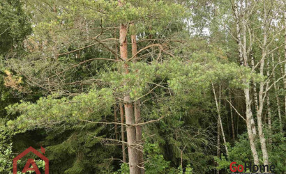 Купить участок, Мончаки, Лесная, 15 соток. Фото 13