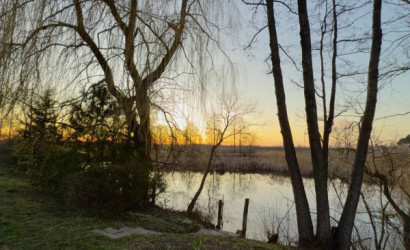 Купить дом, Ляховичи, Спокойный, 14.9 соток. Фото 14