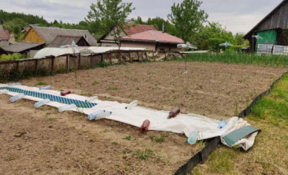 Купить дом, Турковщина, Центральная ул., 20 соток. Фото 33