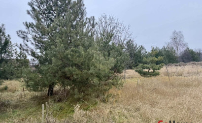 Купить дом, Харитоны, 62.74 соток. Фото 8