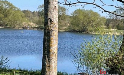 Купить дом, Ситники, Центральная ул 1, 37 соток. Фото 4