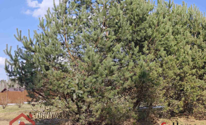 Купить участок, Мочаны, Заречная, 33Б, 11.94 соток. Фото 14