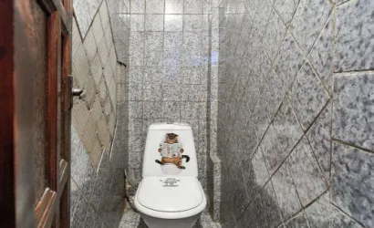  163.5 м2, Минск(Румянцева ул., 7)