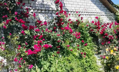 Купить дом, Выверы, Школьный пер., 9 соток. Фото 7