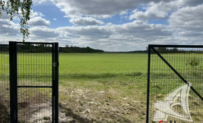 Купить участок, Малые Радваничи, Радваничский с/с, 25 соток. Фото 9