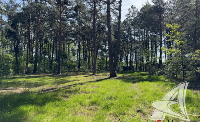 Продажа помещения под сферу услуг, Дивин,  349.3 кв.м.. Фото 4