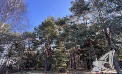 Купить участок, Брест, Сад. товарищества, 13.11 соток. Фото 26