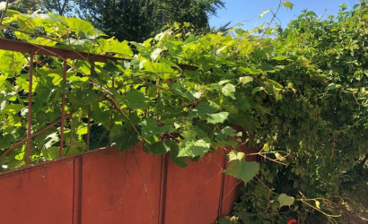 Купить дачу, Песчаное, 5.99 соток. Фото 20