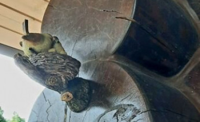 Купить коттедж, Валевка, Школьная ул., 21, 25 соток. Фото 9