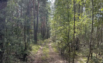 Купить дом, Мотоль, Юбилейная, 20.86 соток. Фото 24