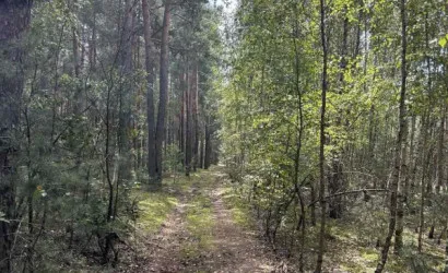  1-этаж.(69.5 м2), Мотоль(Дзержинского)