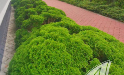 Купить дом, Брест, Вересковые, 10 соток. Фото 30