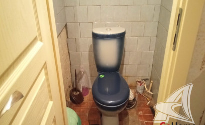 Купить дом, Тельмы-1, Тельминский с/с, 10.18 соток. Фото 18