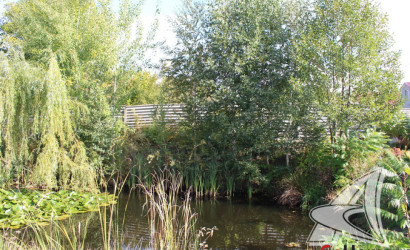 Купить дом, Брест, Сад. товарищества, 7.87 соток. Фото 27