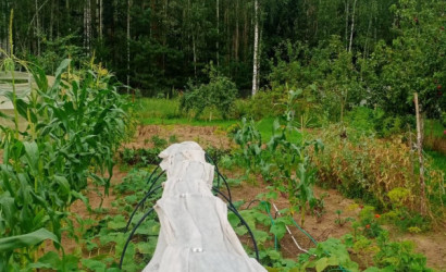 Купить участок, Верески, СТ Верески-92, 40, 10.7 соток. Фото 7