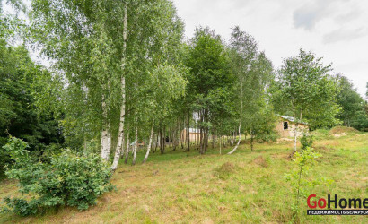 Купить участок, Василевщина, Центральная ул., 22.2 соток. Фото 18