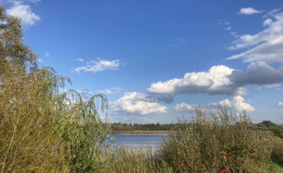  1-этаж.(105.7 м2), Кульбачино