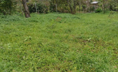 Купить участок, Молодечно, СТ Рамонак-МАЗ уч.41, 10 соток. Фото 9