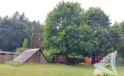 Купить дом, Хомутины, Новицковичский с/с, 25 соток. Фото 10