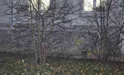 Купить 1-комнатную квартиру, Минск, просп. газеты Звязда, д. 56 (Московский район). Фото 14