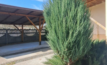 Купить дом, Витебск, Набережная, 15 соток. Фото 13