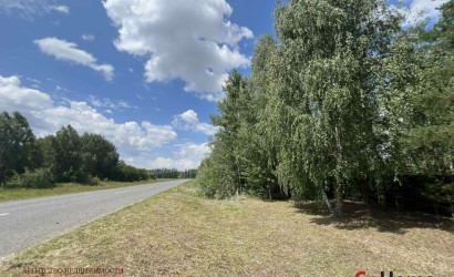 Купить участок, Брест, Кривлянский с/с, 10 соток. Фото 4