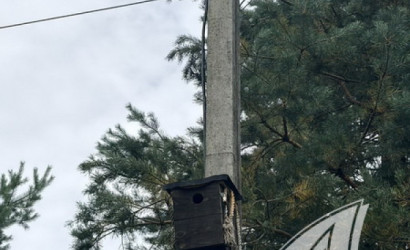  90.4 м2, Брест(Речица)