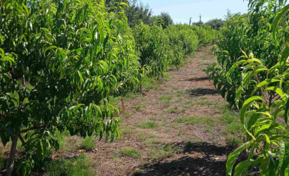 Продажа помещения, Рудка, Советская,  142.4 кв.м.. Фото 11