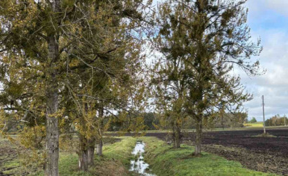 Купить дом в деревне, Кучкуны, Заречная 6, 22 соток. Фото 2