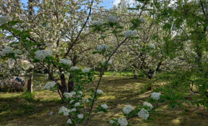 Купить дом, Башни, Садовая, 20.6 соток. Фото 9