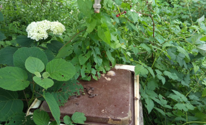 Купить дачу, Криница, 2-я Садовая вуліца, 6.4 соток. Фото 18