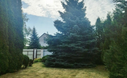 Купить дом, Тельмы-2, 12.52 соток. Фото 7