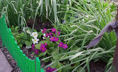 Купить дом, Гомель, 3-я Иногородняя, 12 соток. Фото 12