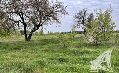 Купить участок, Турна Большая, Видомлянский с/с, 20.46 соток. Фото 14