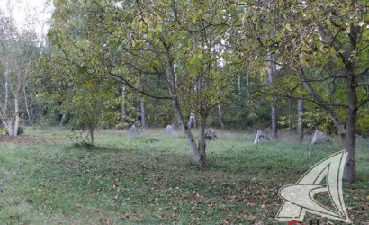  1-этаж.(80.1 м2), Новые Лыщицы(Лыщицкий с/с)