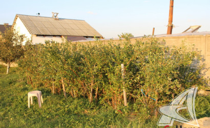 Купить дом, Брест, Березовка, 15 соток. Фото 25