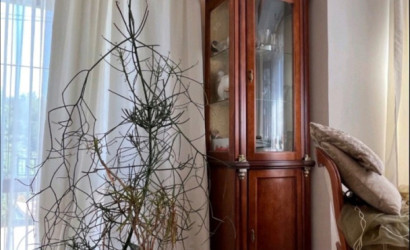 Купить дом, Витебск, Независимости, 14.9 соток. Фото 6