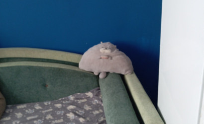 Снять комнату, Минск, просп. Победителей, д. 117 (Центральный район). Фото 5