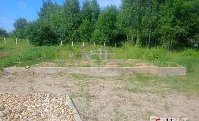  Суринты