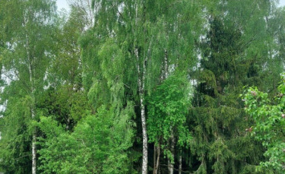 Купить дом в деревне, Узборье, 6.58 соток. Фото 1
