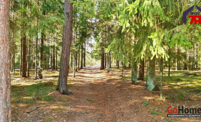 Купить участок, Аксаковщина, Центральная ул., 25 соток. Фото 24