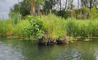 Купить дом, Сухая Долина, Сухая долина, 15 соток. Фото 9