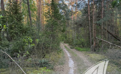 Купить дом, Дворцы, Речицкий с/с, 25 соток. Фото 28