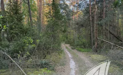  1-этаж.(35.4 м2), Дворцы(Речицкий с/с)