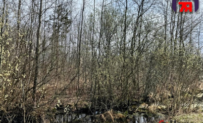 Купить участок, Новые земли, 7.52 соток. Фото 21