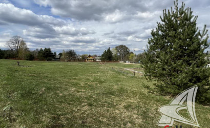 Купить участок, Пашуки, Новицковичский с/с, 25 соток. Фото 4