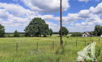 Купить дом в деревне, Рожковка, Дмитровичский с/с, 25 соток. Фото 25