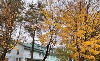 Купить коттедж, Свислочь, Партизанская ул., 29/б, 1 соток. Фото 32