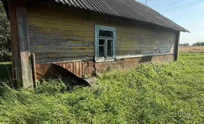  50.4 м2, Новицкие
